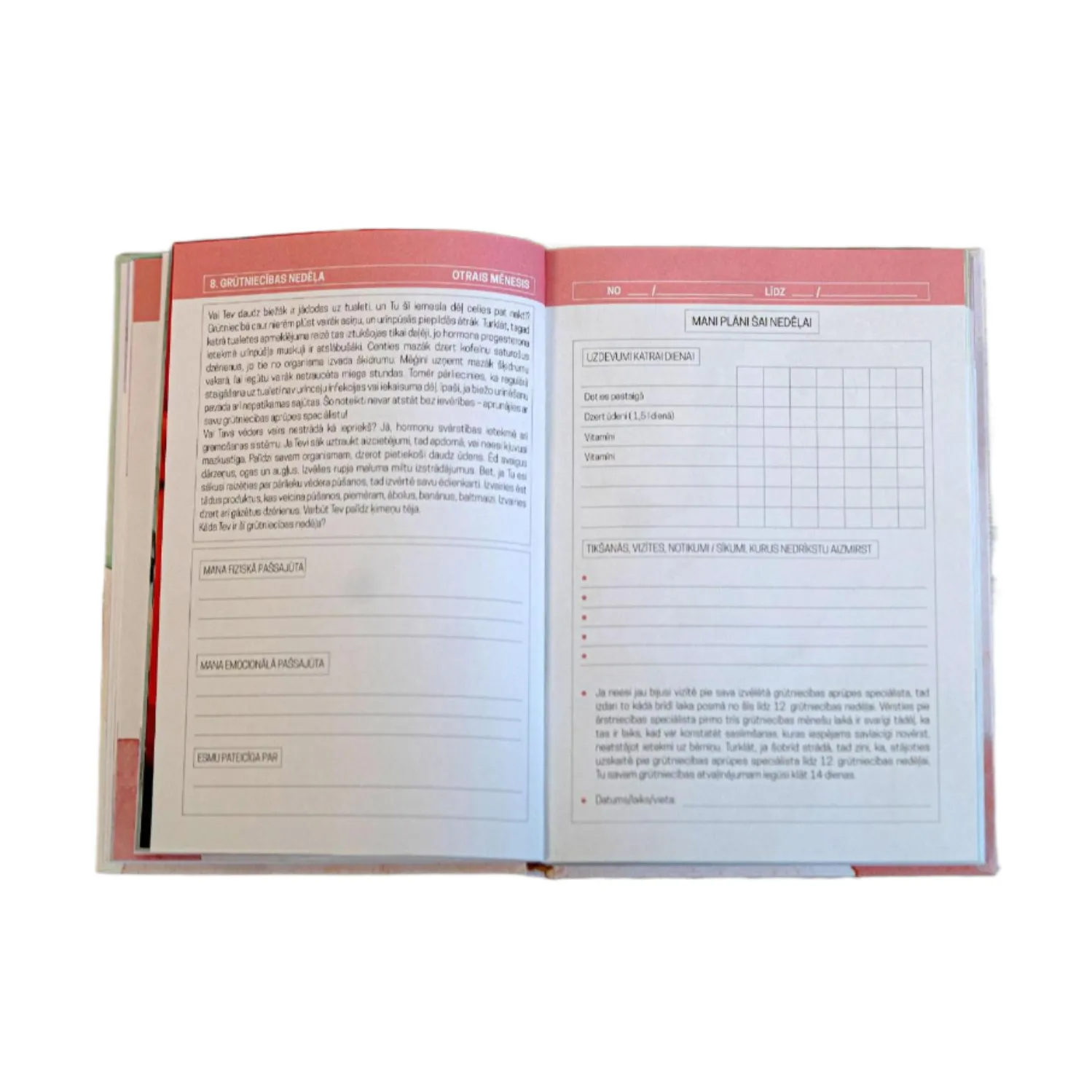 Grūtniecības dienasgrāmata - 8. grūtniecības nedēļa